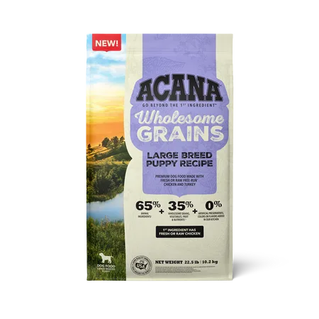 Wholesome Grains, Large Breed Puppy Recipe Dry Dog Food package