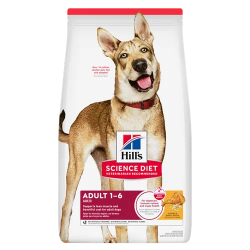 Adult Chicken & Barley Recipe Dog Food package
