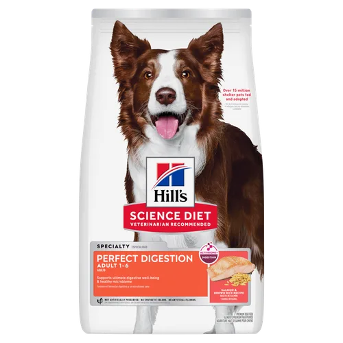 Adult Perfect Digestion Salmon & Brown Rice Recipe Dog Food package