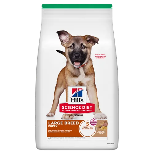 Puppy Large Breed Lamb Meal & Brown Rice Recipe Dog Food package