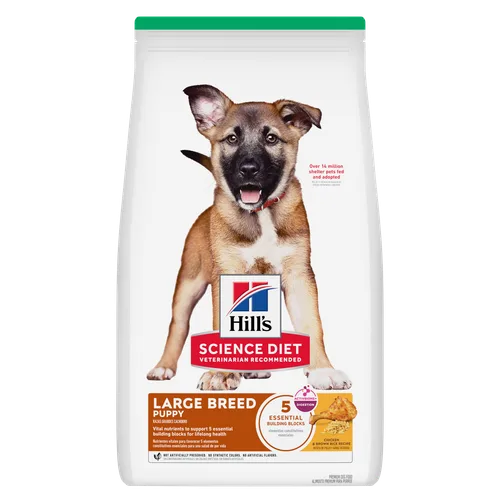Science Diet Puppy Large Breed Chicken & Brown Rice Recipe Dry Dog Food package