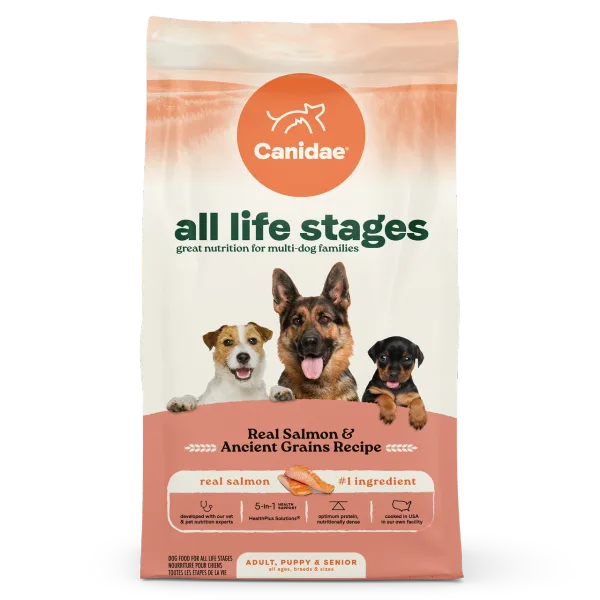 All Life Stages Dry Dog Food Real Salmon & Ancient Grains Recipe package