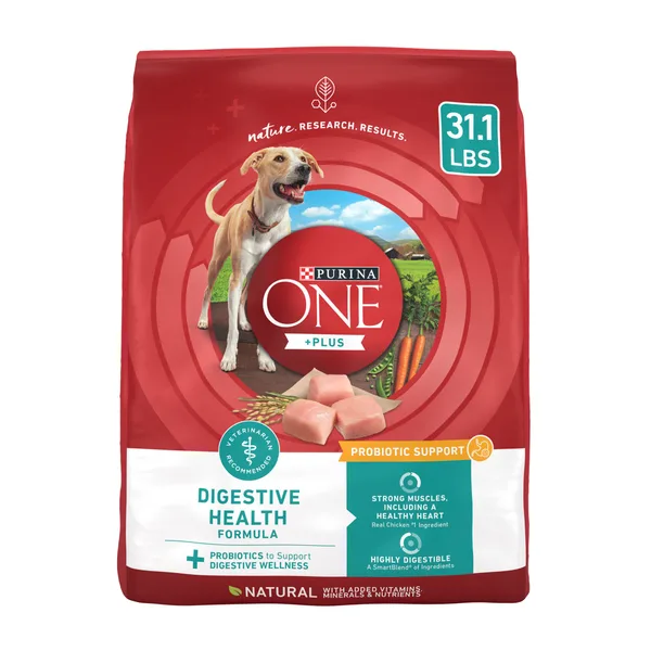 Purina ONE +Plus Digestive Health Dry Dog Food - Natural, Chicken package