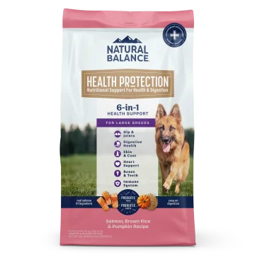 Large Breed Salmon, Brown Rice & Pumpkin Recipe package