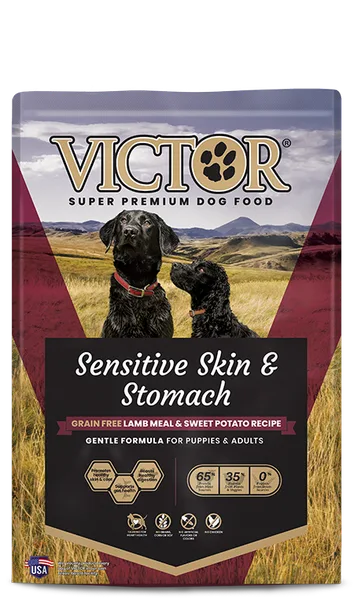 Sensitive Skin & Stomach Grain Free Lamb Meal & Sweet Potato Recipe package